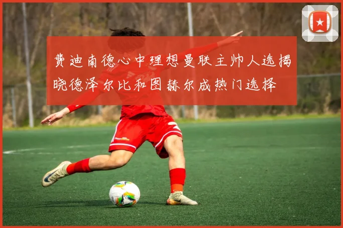 费迪南德心中理想曼联主帅人选揭晓德泽尔比和图赫尔成热门选择