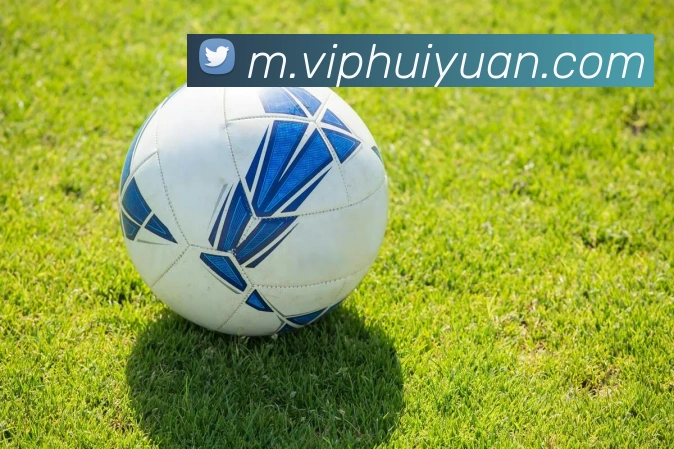 milan米兰官网服务体系